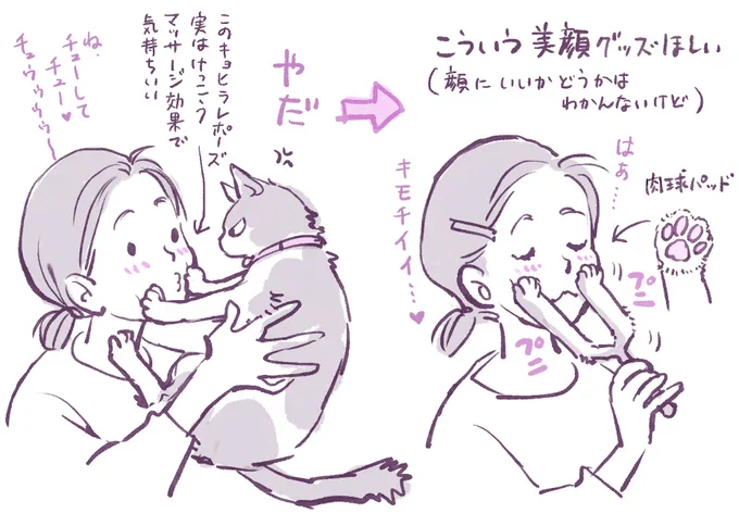 猫飼いなら誰しも経験してるアレ 