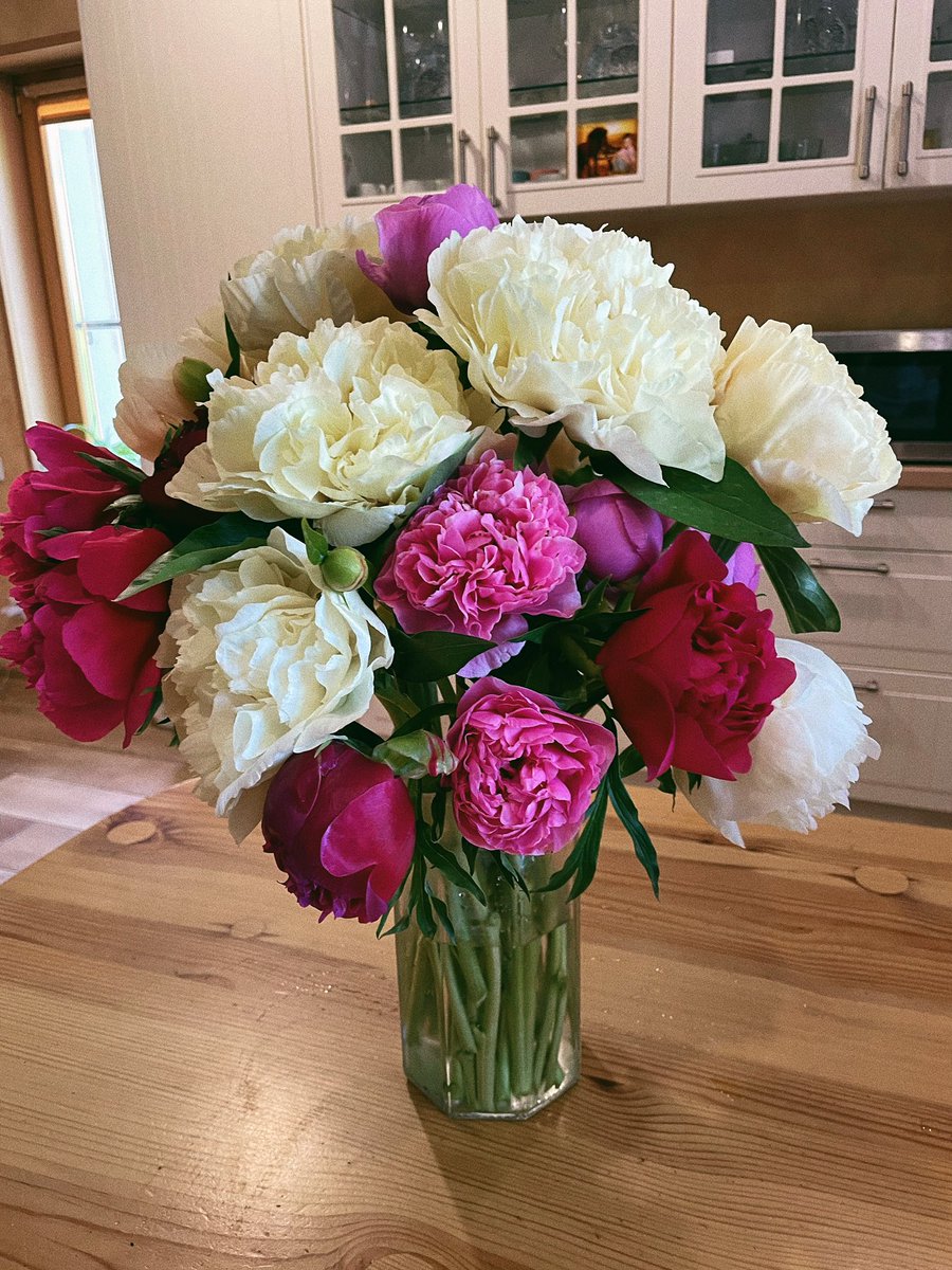 Дарья Табарданова tweet media