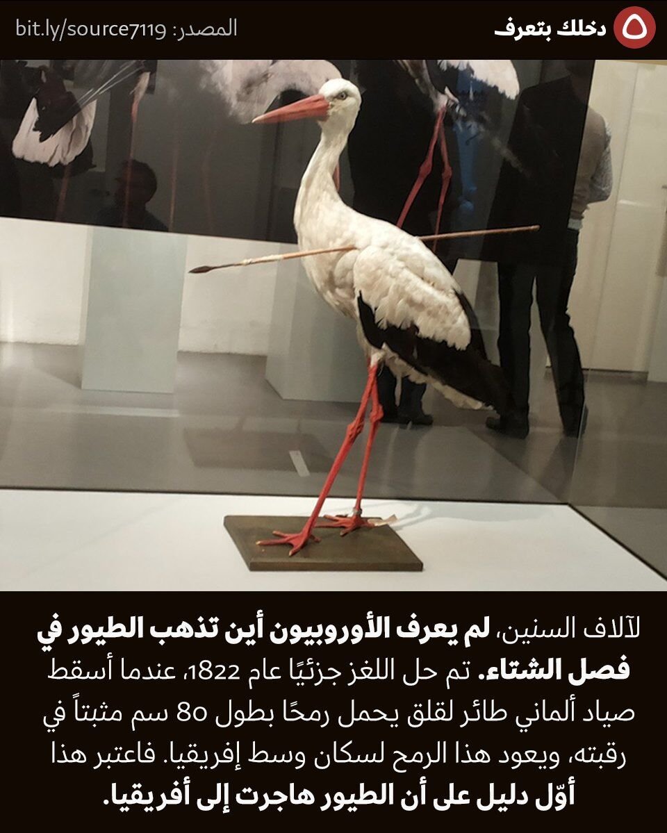 not_your_noah's tweet photo. مفرقش معايا غير ان المسكين ده هاجر لأفريقيا انضرب بخازوق طوله ٨٠ سم , رجع على المانيا انضرب بالنار.
أكيد ده أنحس واحد فى صحابه. https://t.co/mtTw81axPi