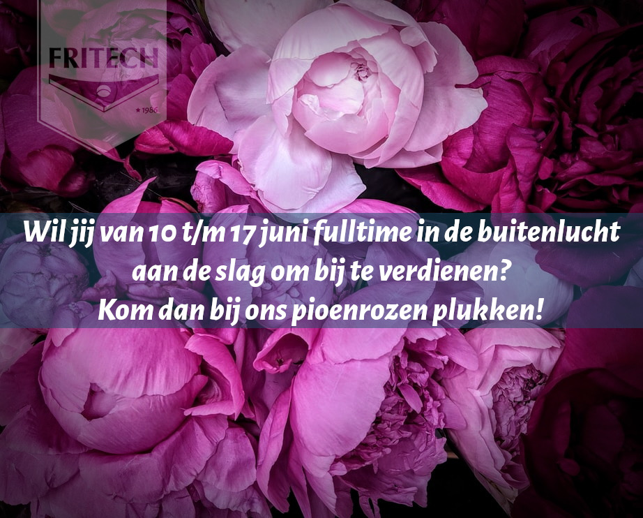Ben jij klaar met je examens of heb je tijd over en wil je in korte tijd graag wat bij verdienen? Dan kunnen wij jouw inzet hard gebruiken bij het snijden van bloemen/ pioenrozen op het land. 

Vind jij het leuk om buiten in de frisse lucht te werken? 
info@fritech.nl/ 0511548300