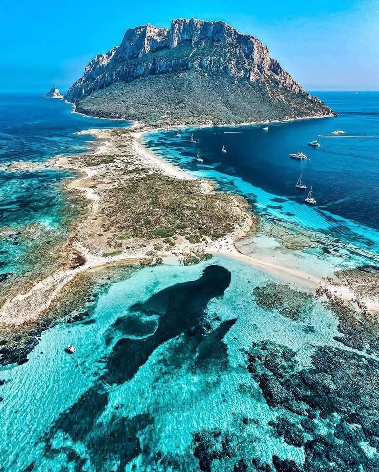 salah barkawy tweet media