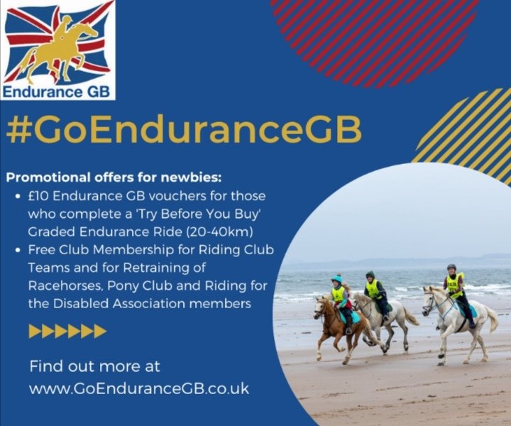 EnduranceGB's tweet photo. #GoEnduranceGB Enter up to two competitive novice "Try Before You Buy" rides <40km before becoming a full riding member of EGB. You'll receive a further £10 voucher when you successfully complete a 'TBYB' ride. Find out more about the enhanced scheme:
https://t.co/fCcfmDy2Uv https://t.co/JJY4TGkTGN