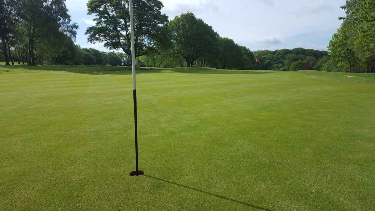 A drop of nitrogen,seaweed and pgr plus a splash of water overnight seems to have done the trick ⛳