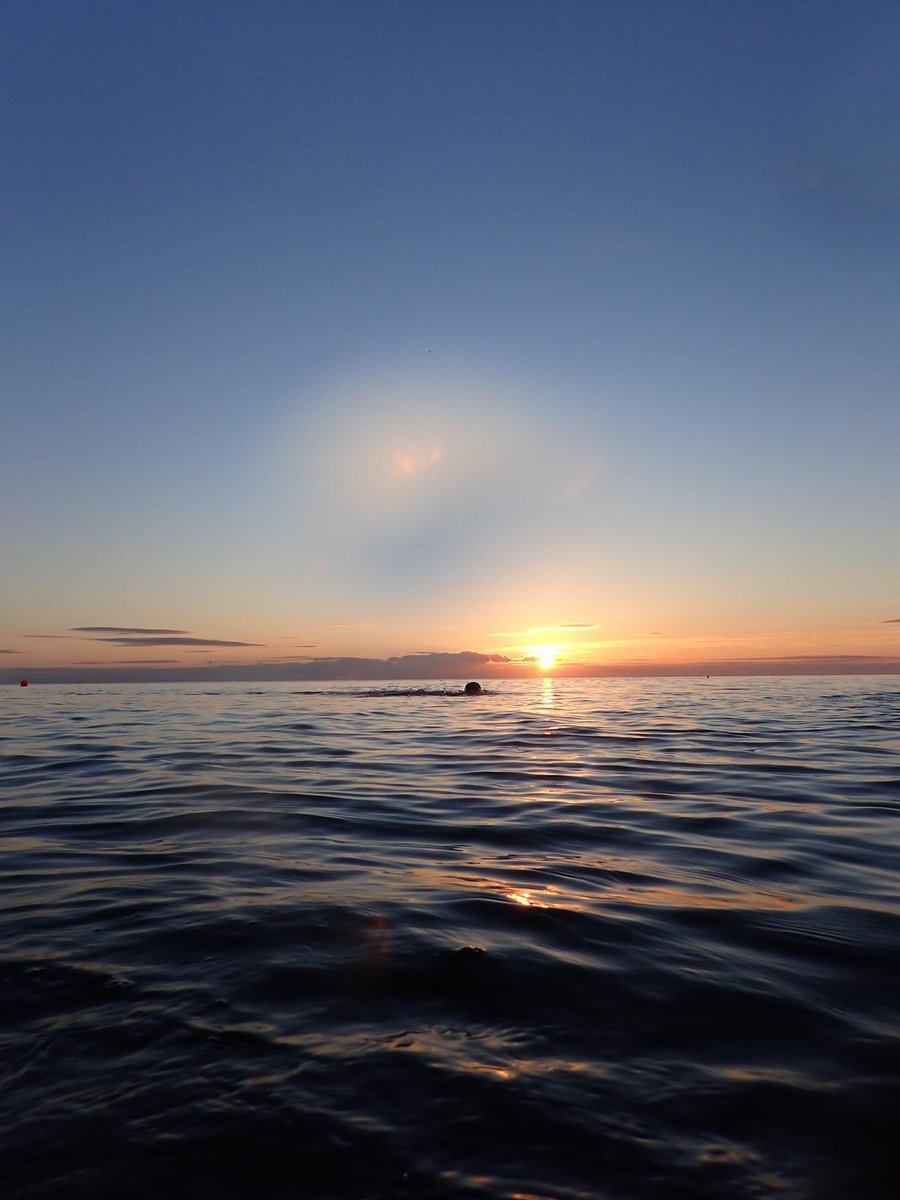 Sinead McGuirk tweet media