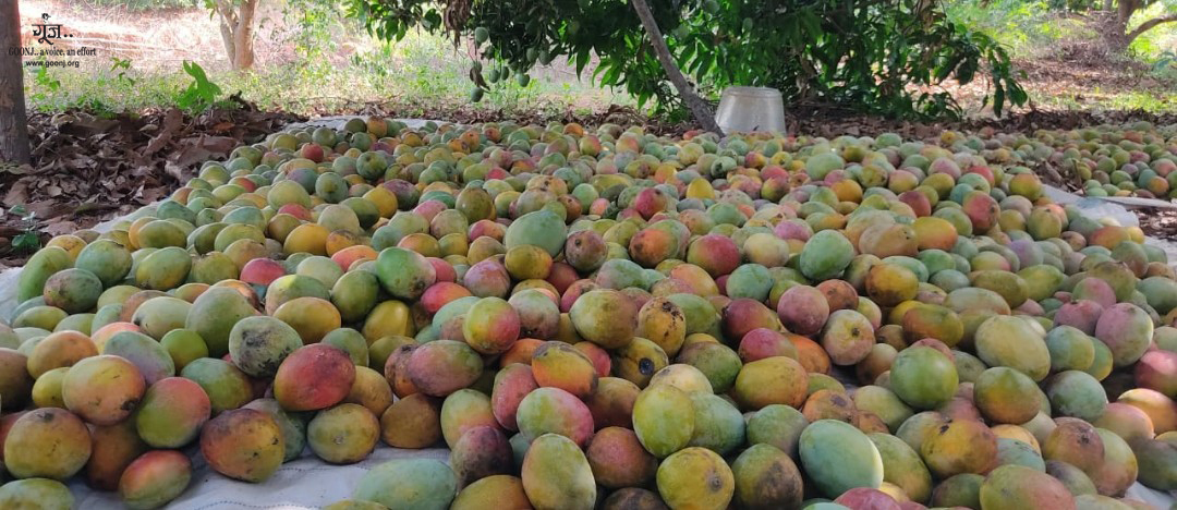 goonj's tweet photo. Our Tamil Nadu team procuring vegetables in bulk directly from farmers to reaching masks, sanitizers to local police stations and government hospitals... Fruits reached to 500+ families, in Thiruvalur district.
We are there..Need You Too..
https://t.co/u9Eky6cXjV https://t.co/eJD3ayAPdk