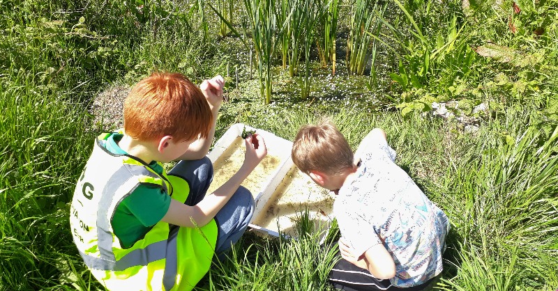 A reminder that our pond dipping session will take place from 10 am to 12.30 pm in #Birdham, tomorrow. The weather will be warm and sunny ☀️ - we hope to see you there!

To attend this event, please RSVP via the contact details on our events calendar, at: mwhg.org.uk/whats-on