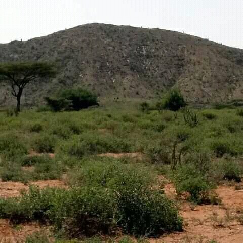 tukwa2's tweet photo. #saveallRainForest
#savetheAmazonRainForest
#savecongoForest
#savePeruRainforest
#ClimateCrisis
#ClimateAction
#NATUREWALK
#NaturePhotography
Solidarity with all Friends of Great sympathies to #savetheplanet https://t.co/91HB3PsLqu