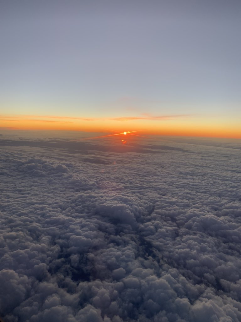 Adon Byron tweet media