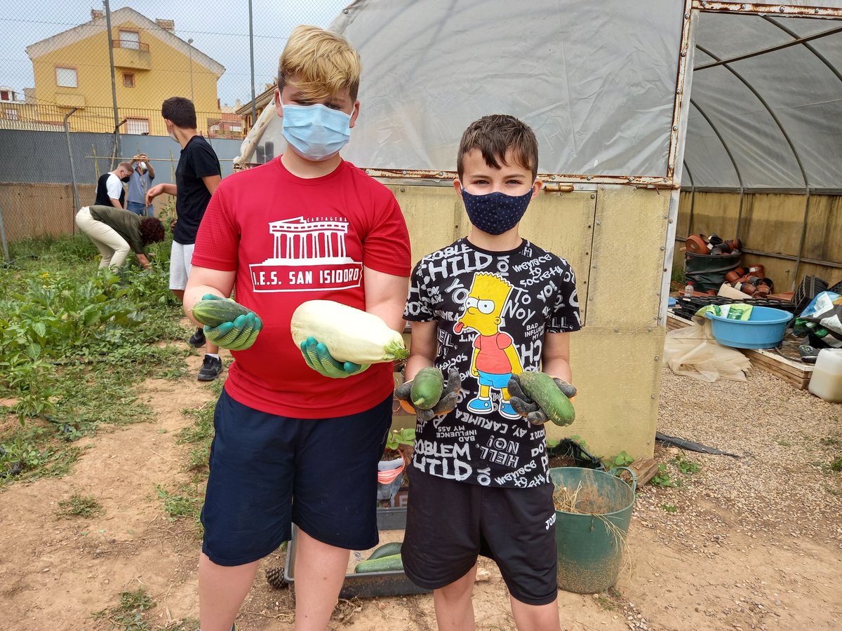 eps_san's tweet photo. Seguimos recolectando y limpiando el huerto. Fumigamos con insecticida natural. Preparando cañas para las tomateras...  #huertoecologicosanisidoroct https://t.co/3z9kldRuQ8