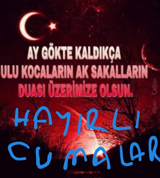 Seyfullah SARGIN (@sarginseyfullah) on Twitter photo 