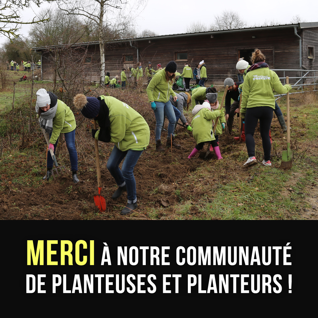FondationYR's tweet photo. [#plantforlife]🌳| ✨5 MILLIONS D'ARBRES PLANTES EN FRANCE ✨

Merci à notre communauté de planteurs 💚

Agriculteurs, collectivités, associations, particuliers, scolaires… tout le monde a mis les mains dans la terre, dans la joie et la bonne humeur ! 🌳🎉

#engagespourlanature https://t.co/jsU2ocqrXi