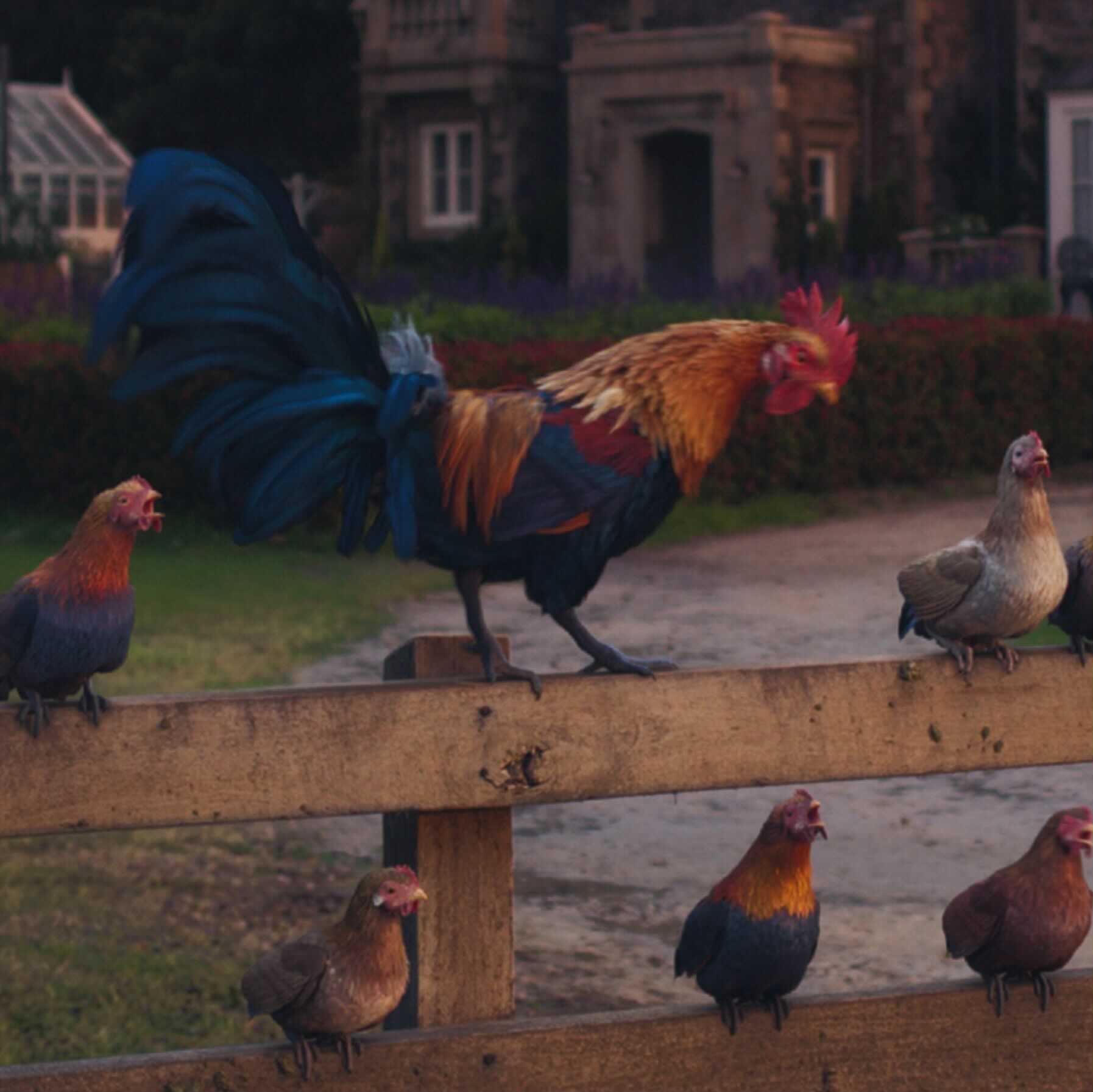 映画 ピーターラビット2 バーナバスの誘惑 ハイパーハイテンションなニワトリ jwルースター2世 声優 千葉繁 コケコッコーーーーーーーーー 前作に引き続き今作でも その鳴き声を響かせます ピーターラビット 映画 ピーターラビット2 バーナバスの誘惑 ハイパーハイテンションなニワトリ jwルースター2世 声優 千葉繁 コケコッコーーーーーーーーー 前作に引き続き今作でも その鳴き声を響かせます ピーターラビット