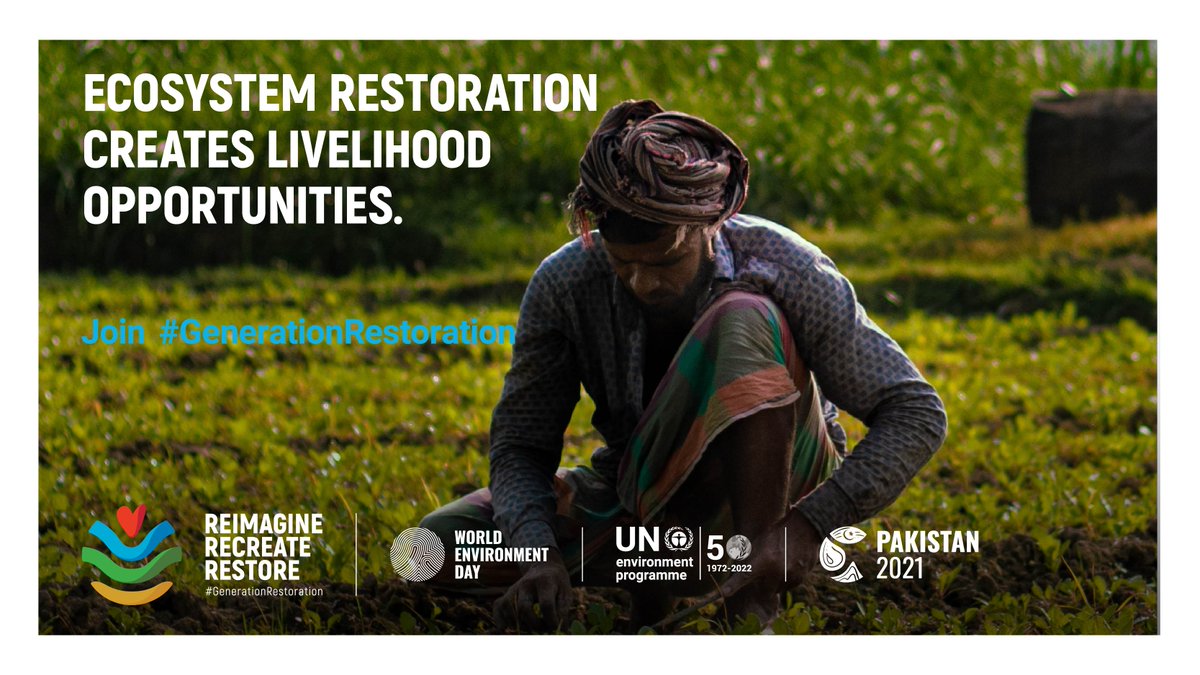AFoCO (@afocosec) on Twitter photo Restoring ecosystems large & small ✅ protects + ✅ improves the livelihoods of people who depend on them. Join a #GenerationRestoration event for #WorldEnvironmentDay & show your support for ecosystems & livelihoods with <a href="/UNEP/">UN Environment Programme</a>. #ForNature bit.ly/3ooHwdv Restoring ecosystems large & small ✅ protects + ✅ improves the livelihoods of people who depend on them. Join a #GenerationRestoration event for #WorldEnvironmentDay & show your support for ecosystems & livelihoods with <a href="/UNEP/">UN Environment Programme</a>. #ForNature bit.ly/3ooHwdv