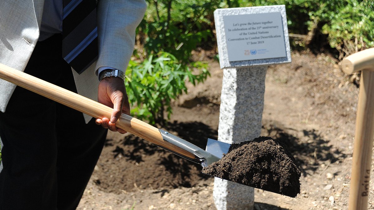 A person holding a shovel full of dirt at a tree planting ceremony that was held in 2019 to mark the 25th anniversary of the United Nations Convention to Combat Desertification.
