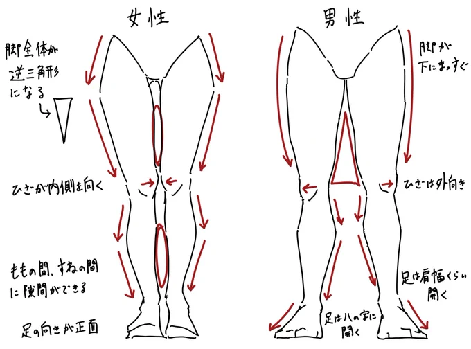 男女の下半身を描き分けるコツです。 