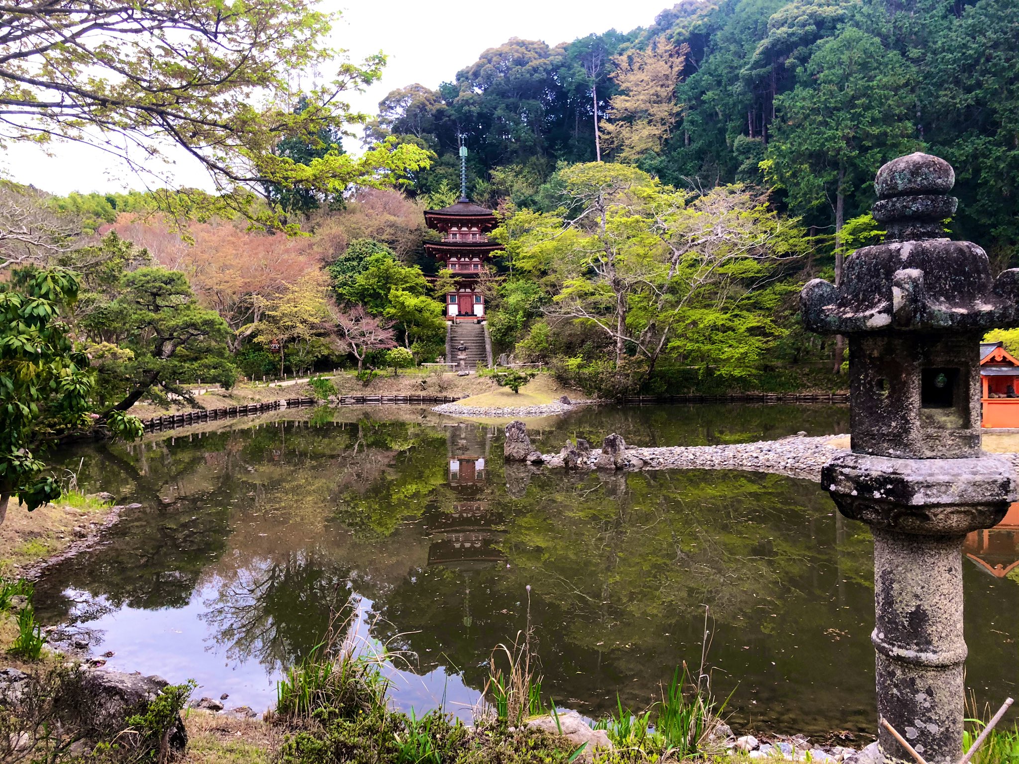 تويتر 日本庭園情報メディア おにわさん The Japanese Gardens على تويتر 浄瑠璃寺庭園 平安時代に流行した庭園様式 浄土式庭園 の代表的な庭園 ざっくり言うと 洲浜や中島のある池泉回遊式庭園 なんだけど この浄瑠璃寺で言えば 池の西側に本堂