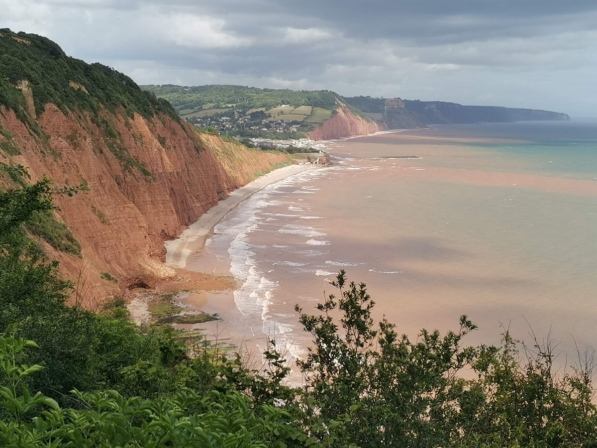 Crisp Professional Development tweet media