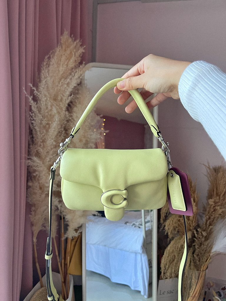 coach pillow tabby pale lime