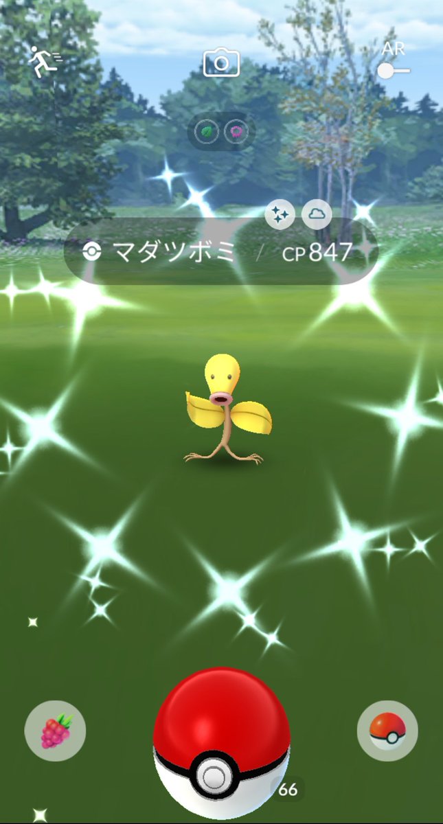 マダツボミ Hashtag Posts And Instagram Pictures And Videos Offerdos Com