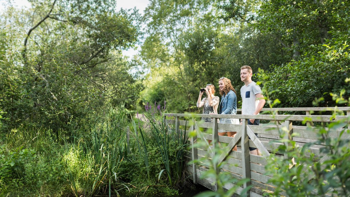 Région Bretagne tweet media