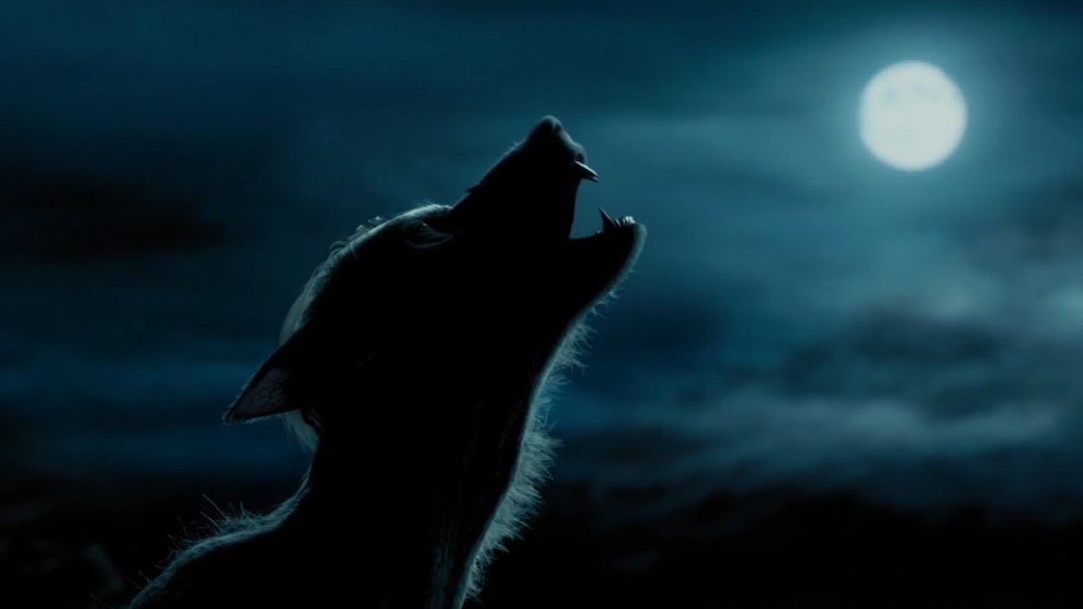 EiProfeta's tweet image. Se cumplen 17 años del estreno de “Harry Potter y el Prisionero de Azkaban”. Sin duda, la mejor película de la saga.