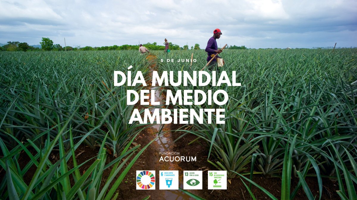 Acuorum's tweet photo. Mañana es el #DiaMundialdelMedioAmbiente La vida está ligada de forma íntima a la #naturaleza que, sin embargo, sigue degradándose: https://t.co/v17aoXbFaO 😢. Por eso, con #AcciónLitoral, en @Acuorum nos esforzamos en cuidar de este tesoro indescriptible que está en juego 🌍💙 https://t.co/w6D3K6v2VX