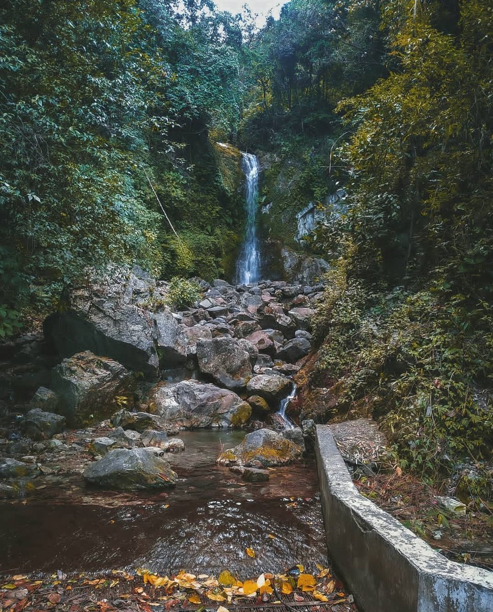 MibangNami's tweet photo. Sirki Waterfall is located at a distance of approx 10 kms from Pasighat, it is a must visit to enjoy adventurous trek and witness the marvel of nature.
#NortheastMatters 
#AchapterforNE https://t.co/CMNYHD0psm
