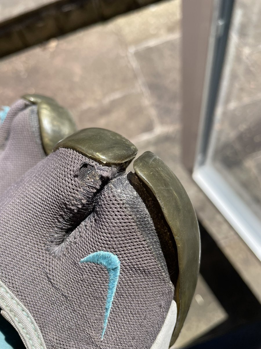 kimothen's tweet image. After 17 years my @Nike air rift have finally gone. I’m gutted. Please bring these back @nike in decent colours and not just black!!! #nikerift #airrift #summersneaks