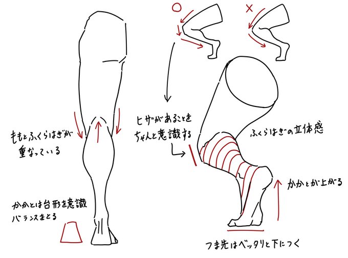 後ろから見た脚を描くときのポイントです。 