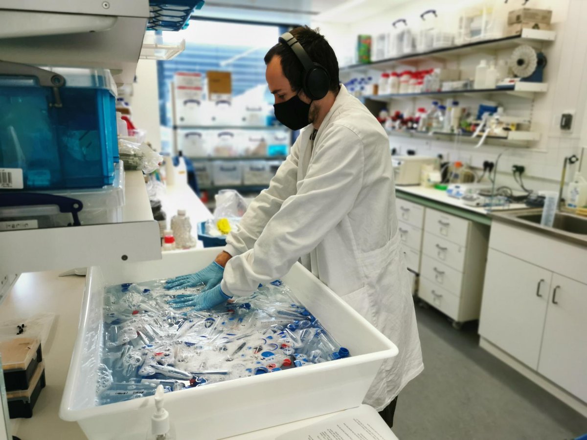 aksimonlab's tweet image. Time that our lab become greener. In order to reduce plastic waste, we recently got a nice protocol from the @Dunn_School on how to reuse Falcon tubes. PhD @CleeteRichter trying it out for the first time. We will keep you up to date. #Greenlabs #Sustainability @KirOxford @ndorms