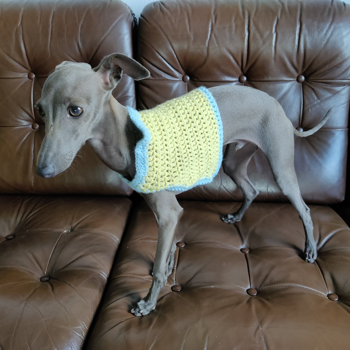 𝙅𝙚𝙨𝙥𝙚𝙧 tweet media