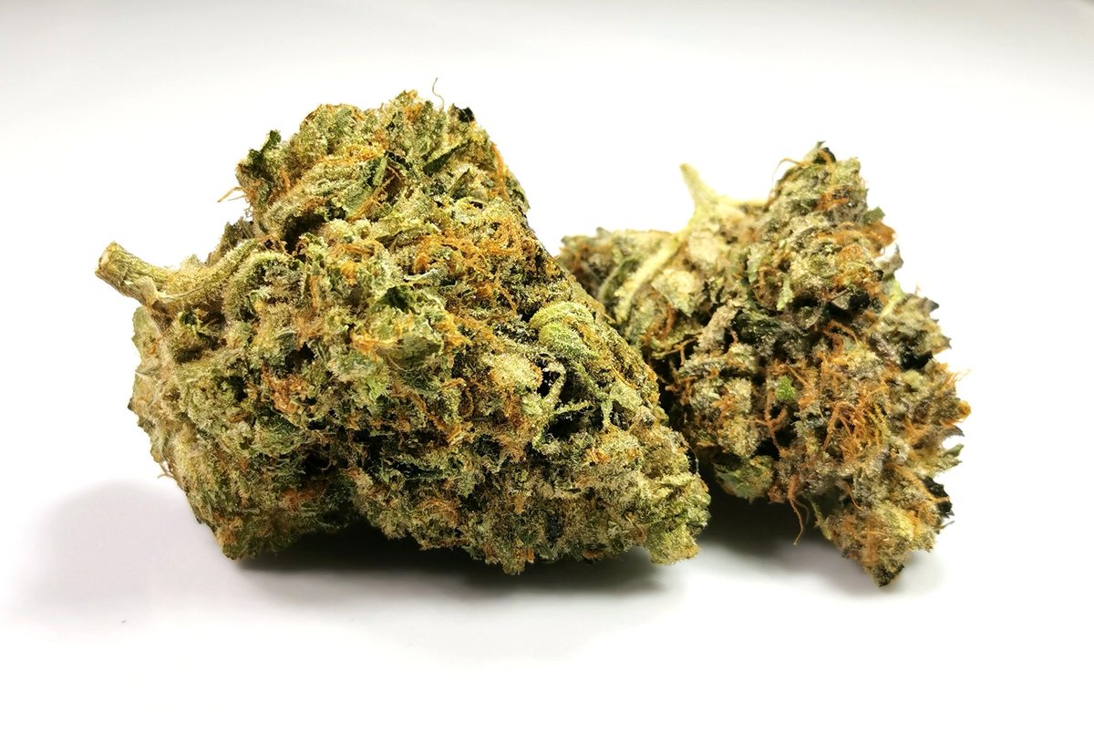 cannabis_sensei's tweet photo. A few shots of some Tom Ford Island Pink made by @7GreenGrows  bought at @Shelter_Market, this is what I would describe as GAS ⛽⛽⛽⛽ (Don't you just love it when its overweight?) https://t.co/CTeZkGnqrg