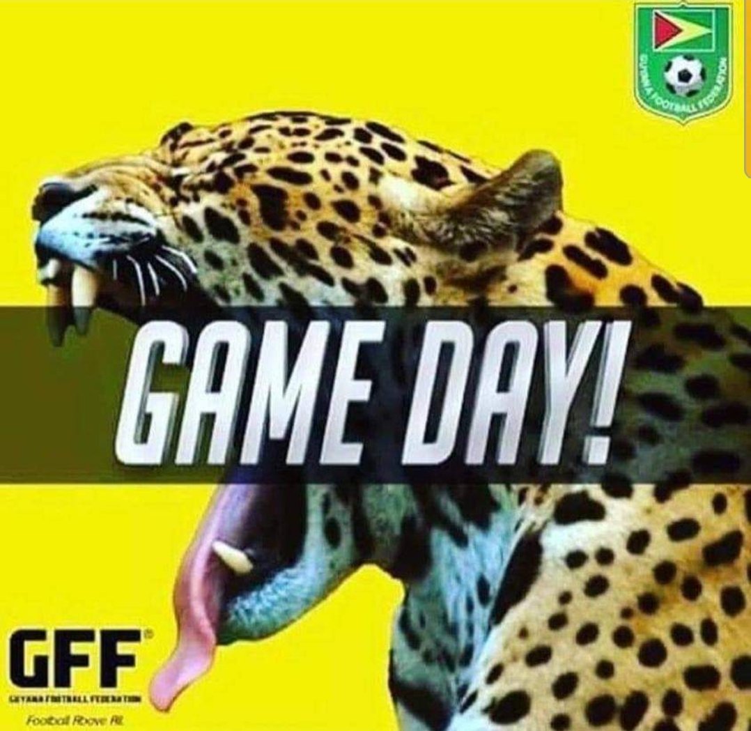 s_goalkeeping's tweet photo. Good luck guys @Kai_M_L @GFF_Inc_ https://t.co/Uf1XYaxyn2