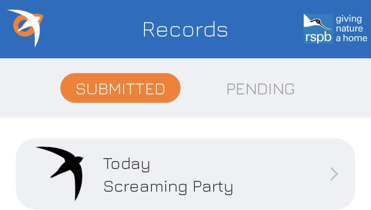 EdinBirdwatcher's tweet image. Just heard some Swift’s going to add my record on #SwiftMapper  @EdinburghSwifts @swiftsweek