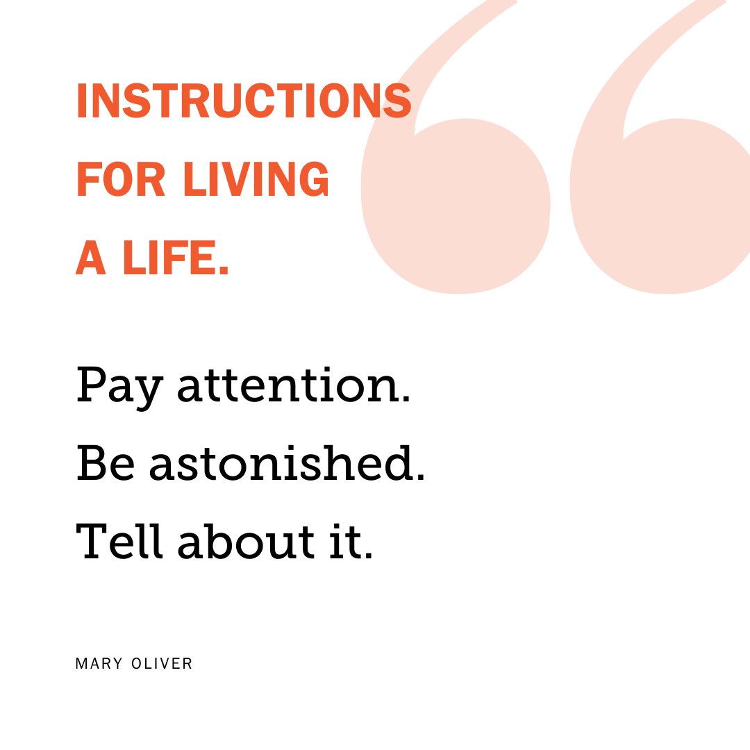 early_works's tweet photo. What rules do you have for your life?

What drives you?

What do you want to share with the world?

#jumpstartchange #smallbusiness #Detroit #motivation #mindset #success #knowyourwhy #womanownedbusiness #strategy https://t.co/k7jCAEfiSI