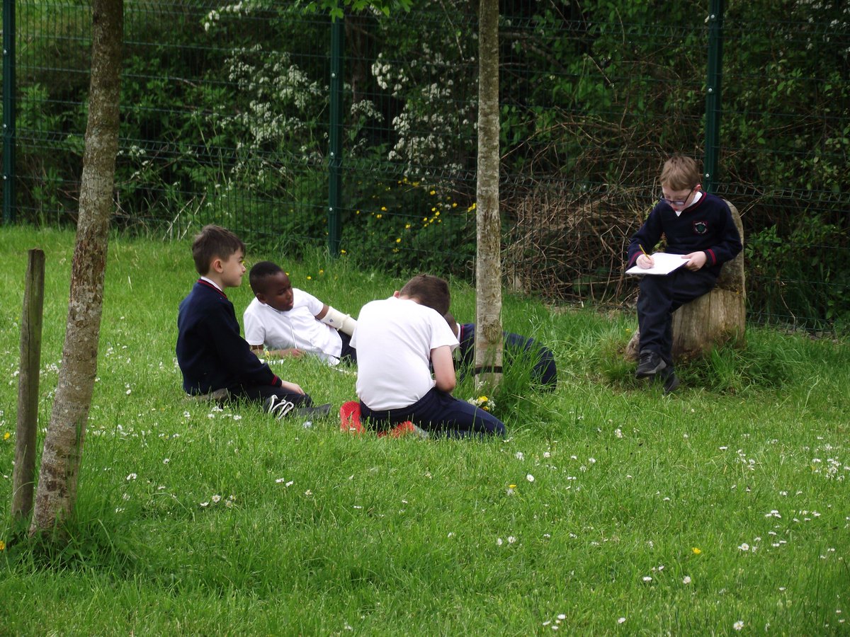 Today in the school garden. <a href="/GreenSchoolsIre/">Green-Schools</a> #outdoorclassroom
