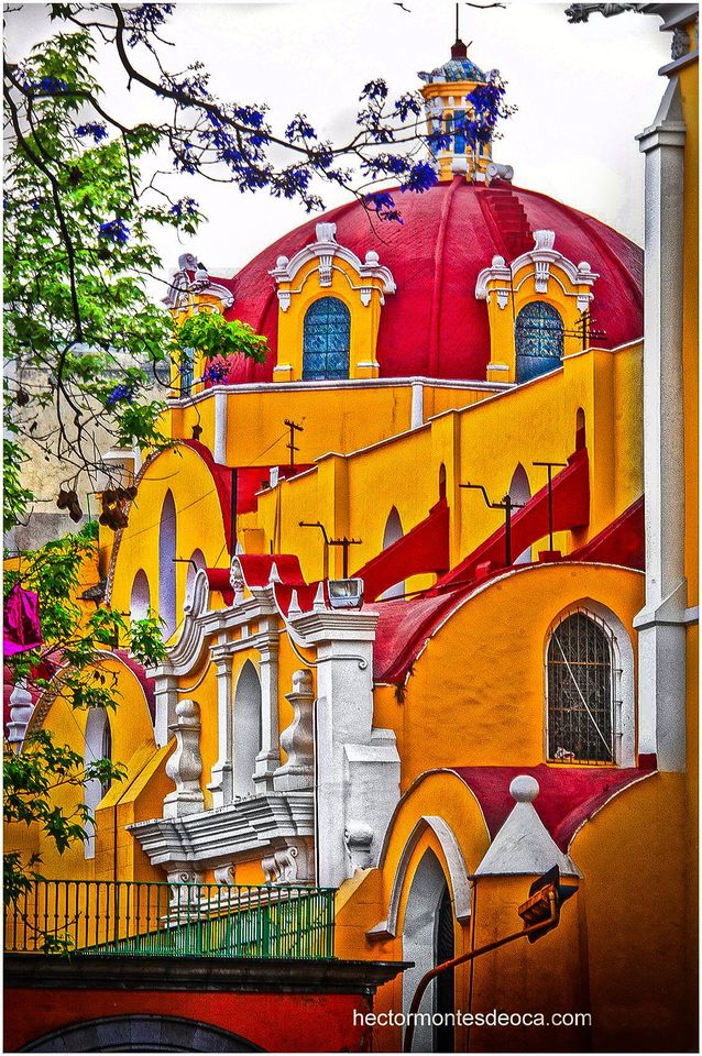 NatGeoMontesDeO's tweet photo. XALAPA https://t.co/4B0hqQWjDG