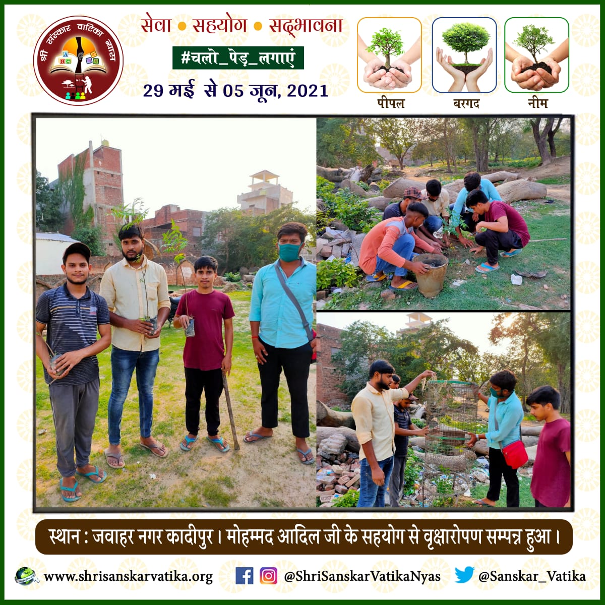 Sanskar_Vatika's tweet photo. Shri Sanskar Vatika Nyas   के #चलो_पेड़_लगाएं संकल्प के तहत 29 मई से 05 जून 2021 तक 101 ऑक्सीजन देने वाले पौधों के रोपण

~ #TeamSSVN

#SSVN #1stAnniversary #ShriSanskarVatikaNyas #FreeEducation  #SaveTrees #SaveNature #PlantTrees #Plants #Environment #EnvironmentDay #5Jun https://t.co/dnI0IqE1HC
