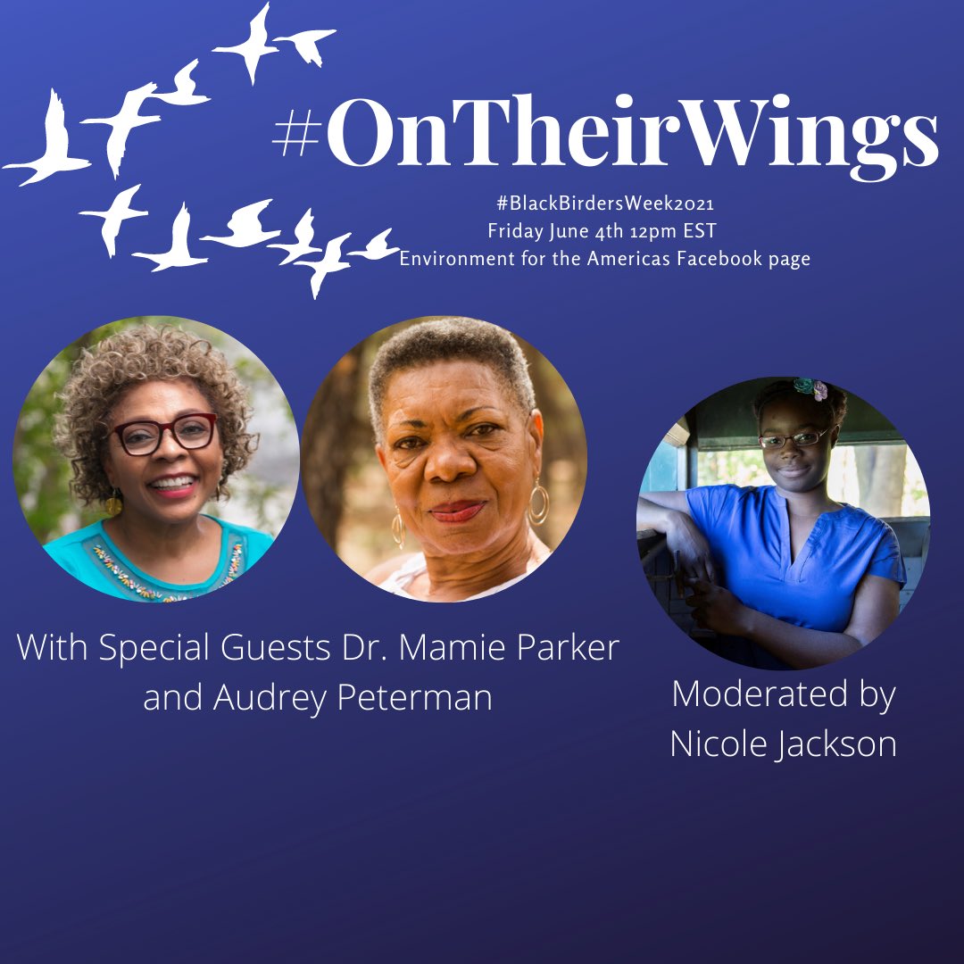 Have you noticed #BlackBirdersWeek2021 has been filled with phenomenal Black women? Today is no different! Don’t miss this #OnTheirWings lunchtime storytelling event with <a href="/wildlifegirl09/">Nicole Jackson</a> featuring Dr. Mamie Parker and Audrey Peterman 🤩 on <a href="/enviroamericas/">Environment for the Americas</a> Facebook page.