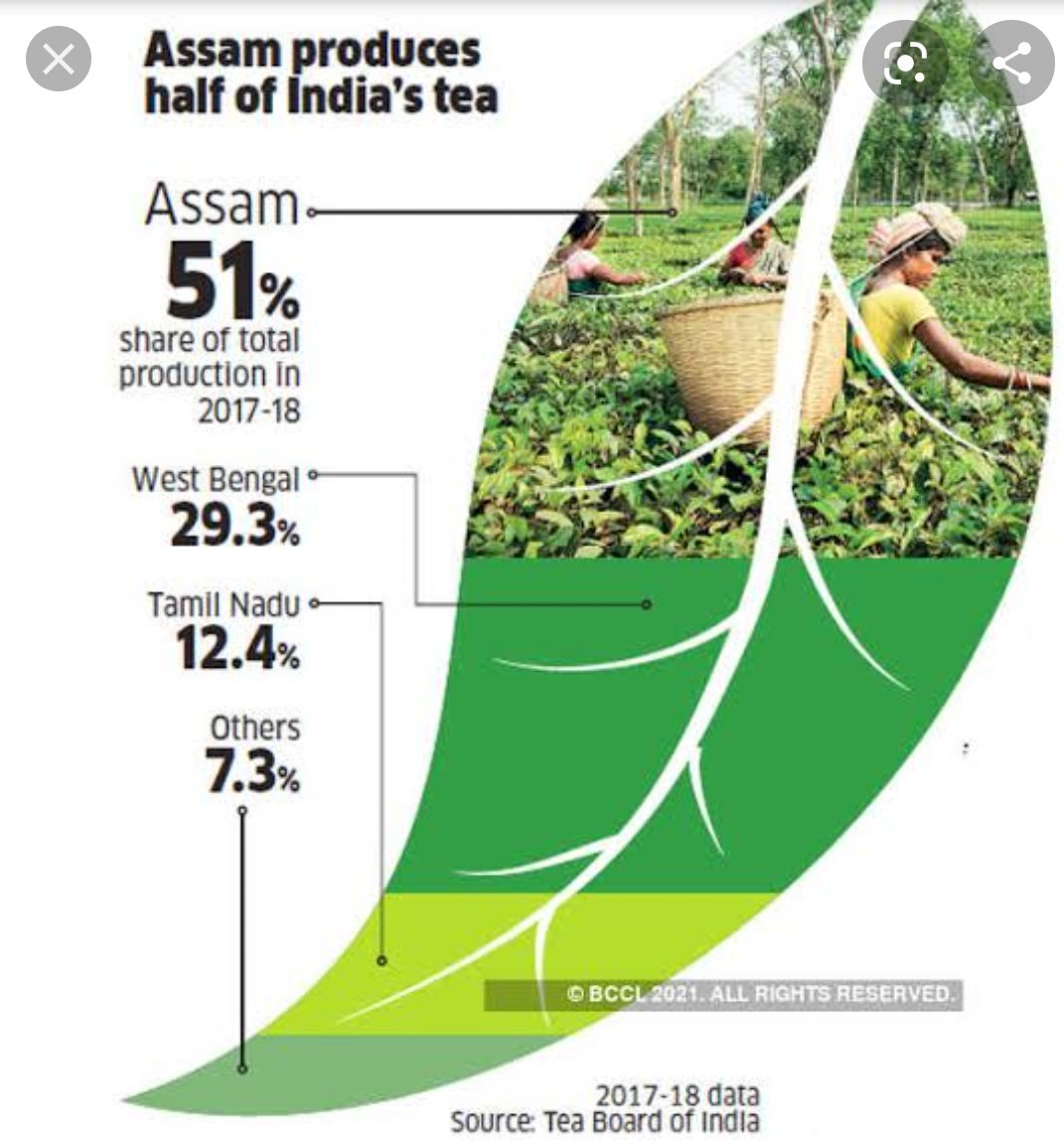 KujurDipankar's tweet photo. Jis tarah Desh ki subah Assam tea ki suski se shuru hoti hai !! Usi tarah Desh ki education me Northeast hona chahie #NortheastMatters #AchapterforNE @DrRPNishank@ninong_erring @ncert @PemaKhanduBJP @KirenRijiju
@himantabiswa @CmoNagaland @CMO_Meghalaya @CMOmanipur @CMOMizoram https://t.co/1X92kp8GZI
