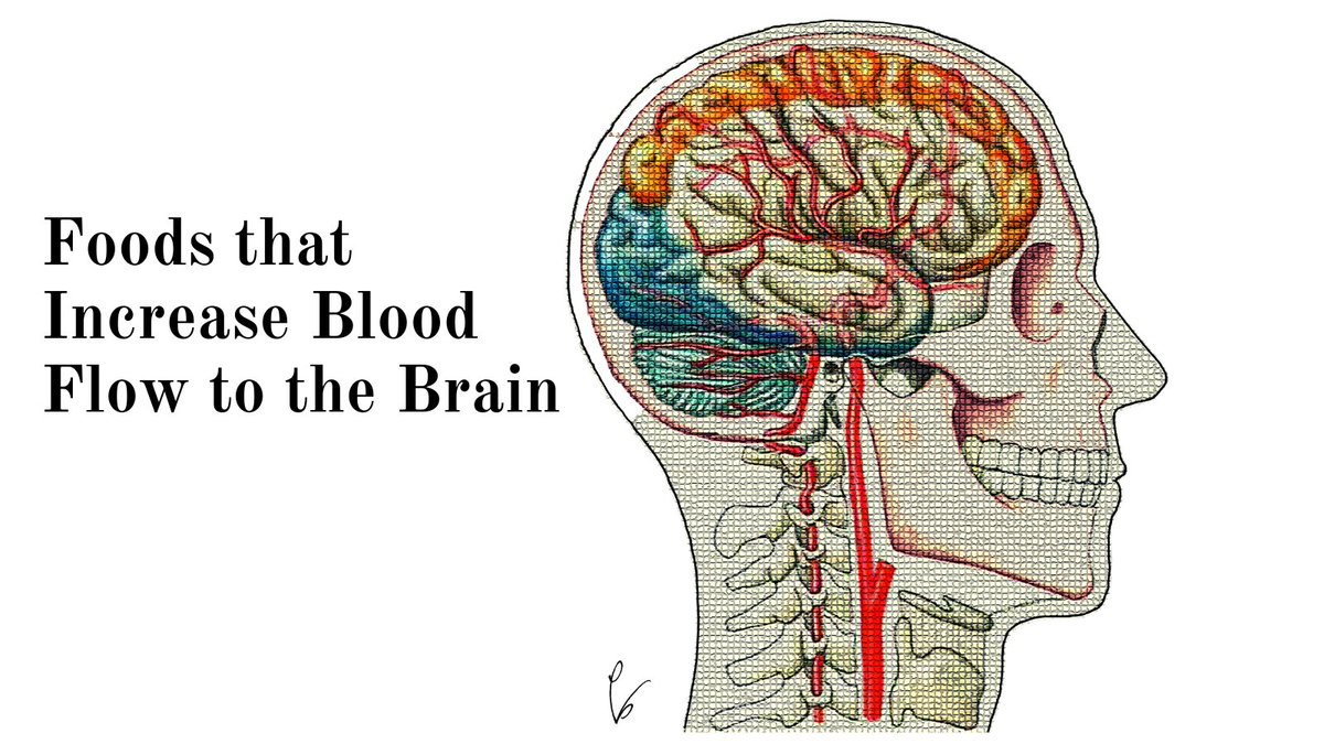 Rich Foods That Increase Blood Flow to the Brain: Nitrate & Polyphenol 👉arugula 👉rhubarb 👉lettuce 👉beets 👉cilantro 👉spinach 👉celery 👉red grape skin 👉apples 👉peanuts 👉plums 👉raspberries 👉blueberries Read more here 👇 plantbased.com/13-foods-that-…