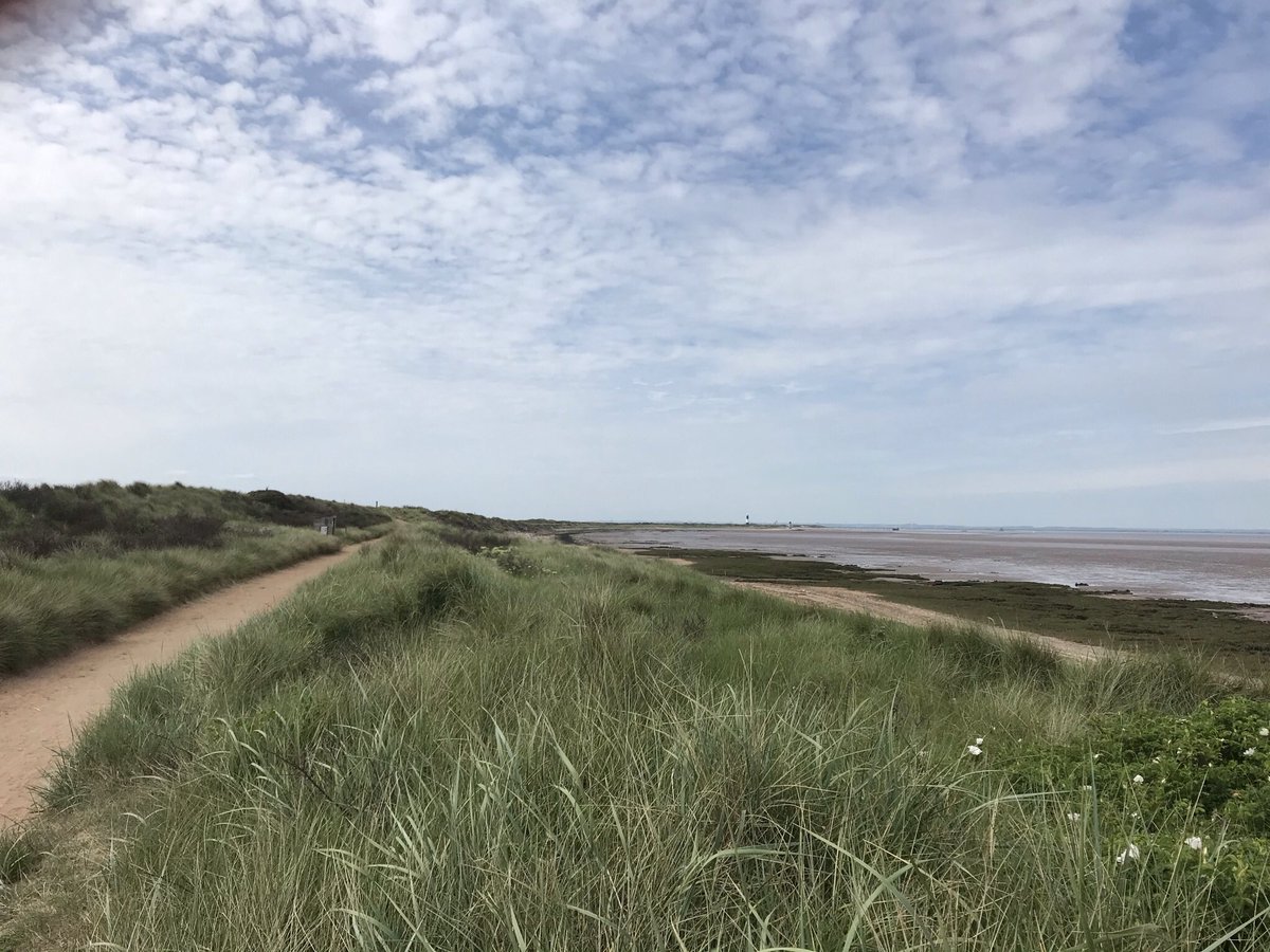 Walking to Spurn Point for #30DaysWild <a href="/WildlifeTrusts/">The Wildlife Trusts</a> Today we saw roe deer, geese and 43 caterpillars! 🐛