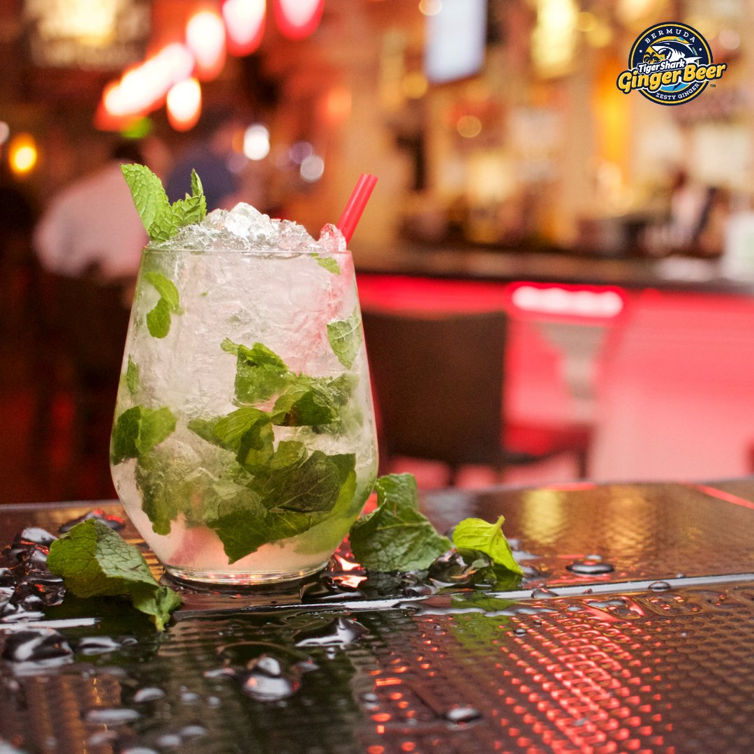 sharkgingerbeer's tweet photo. A great weekend starts with a cocktail.  #TigerSharkGingerBeer https://t.co/JcP1xCbQp8