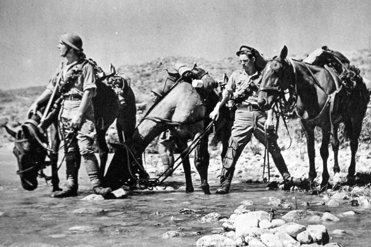 ▎On this day: June 8【#Syria / #Lebanon / #UnitedKingdom / #Australia / #Czechia / #France 🇸🇾🇱🇧🇬🇧🇦🇺🇨🇿🇫🇷】

1941 – The Allies commenced the Syria–Lebanon campaign (pictured) against the possessions of Vichy France in the Levant.

See: en.wikipedia.org/wiki/Syria–Leb…

#WikiAsianMonth