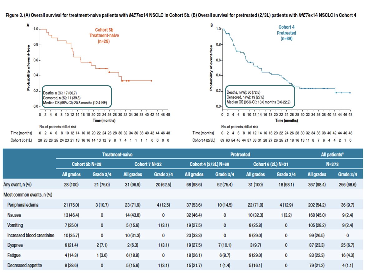 Capmatinib in MetEx14 mutated #NSCLC 
Responses in tx naive and preTx:
✴️ RR 66.7%, 44% 
✴️ mPFS 12.3, 5.5
✴️ mOS 20.8, 13.6
✴️ AEs: edema, nausea, 16.1% discontinuation rate
<a href="/OncoAlert/">OncoAlert</a> #ASCO21 <a href="/ASCO/">ASCO</a>
