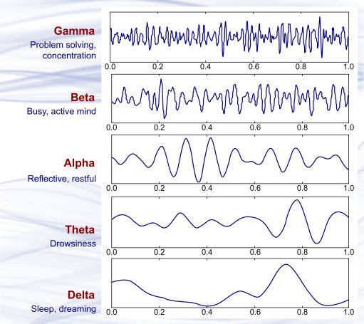mind_device's tweet photo. 🔹Various regions of the brain do not emit the same brain wave frequency simultaneously. An EEG signal between electrodes placed on the scalp consists of many waves with different characteristics. The large amount of data received from even one single… https://t.co/gU2RJs8zWm https://t.co/Rt28fGip7c
