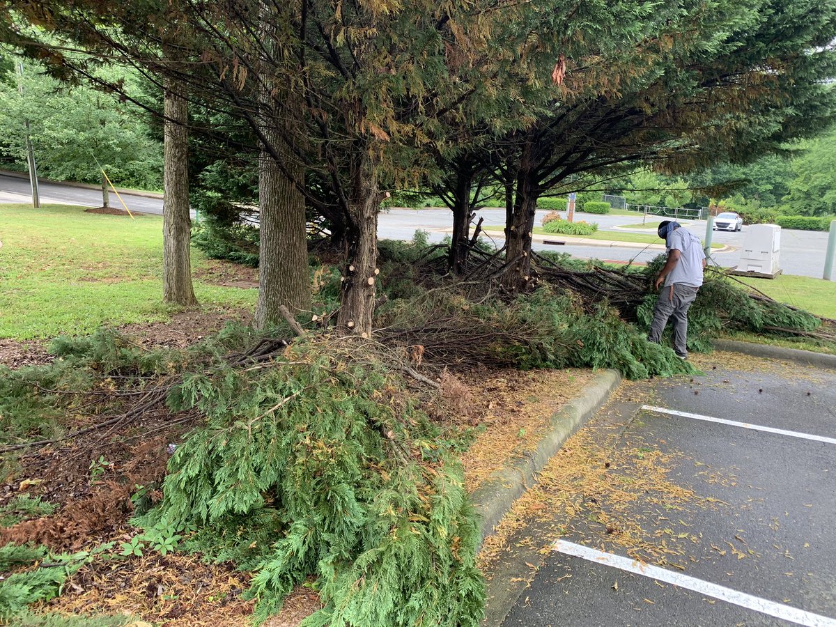 HillsDruid's tweet photo. Thank you to CMS Grounds Crew Chief Bryan Egan for starting the process of trimming back and beautifying DHA!!! It’s going to be AWESOME!!! https://t.co/vUavXsZPhe
