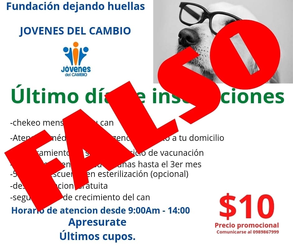 Jóvenes del Cambio informa que no existe tal actividad y que esta información es falsa.

Nestras actividades oficiales, programas y campañas se anuncian a través de nuestras redes sociales y de @Municipio_Manta, institución a la que pertenece esta Área Técnica de la Juventud.