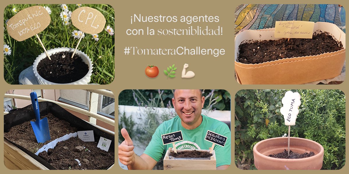 Mañana es el #DiaMundialDelMedioAmbiente ¡y nuestros agentes han pasado a la acción con el #TomateraChallenge🍅!
Las casas de @onintzeU, <a href="/SegurosCpl/">CPL_Seguros</a>, C. Pomar, <a href="/SPedroches/">Seguros Pedroches</a> y S.M Barón ya cuentan con un pequeño espacio verde. ¡Bravo!👏 #HagámosloÉpico