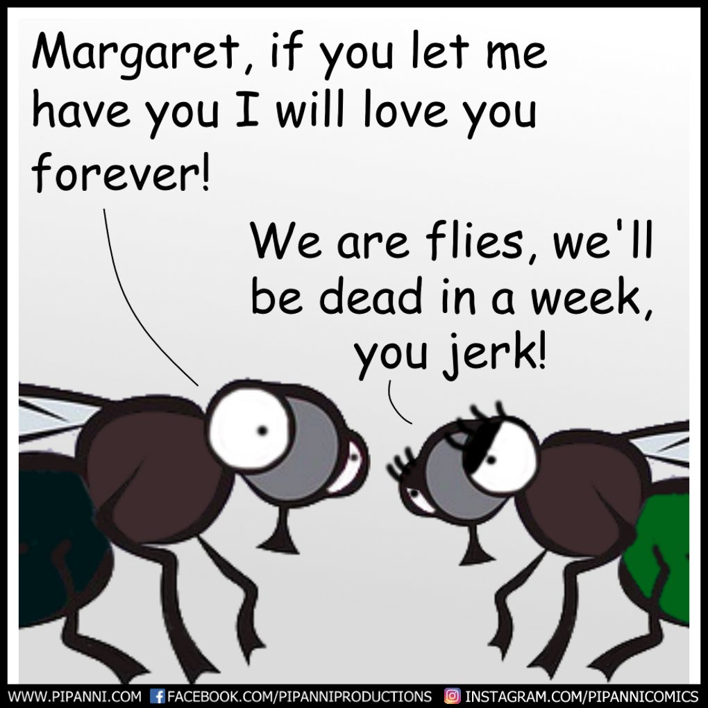 Pipanni's tweet photo. Flies https://t.co/dwNiIu8844